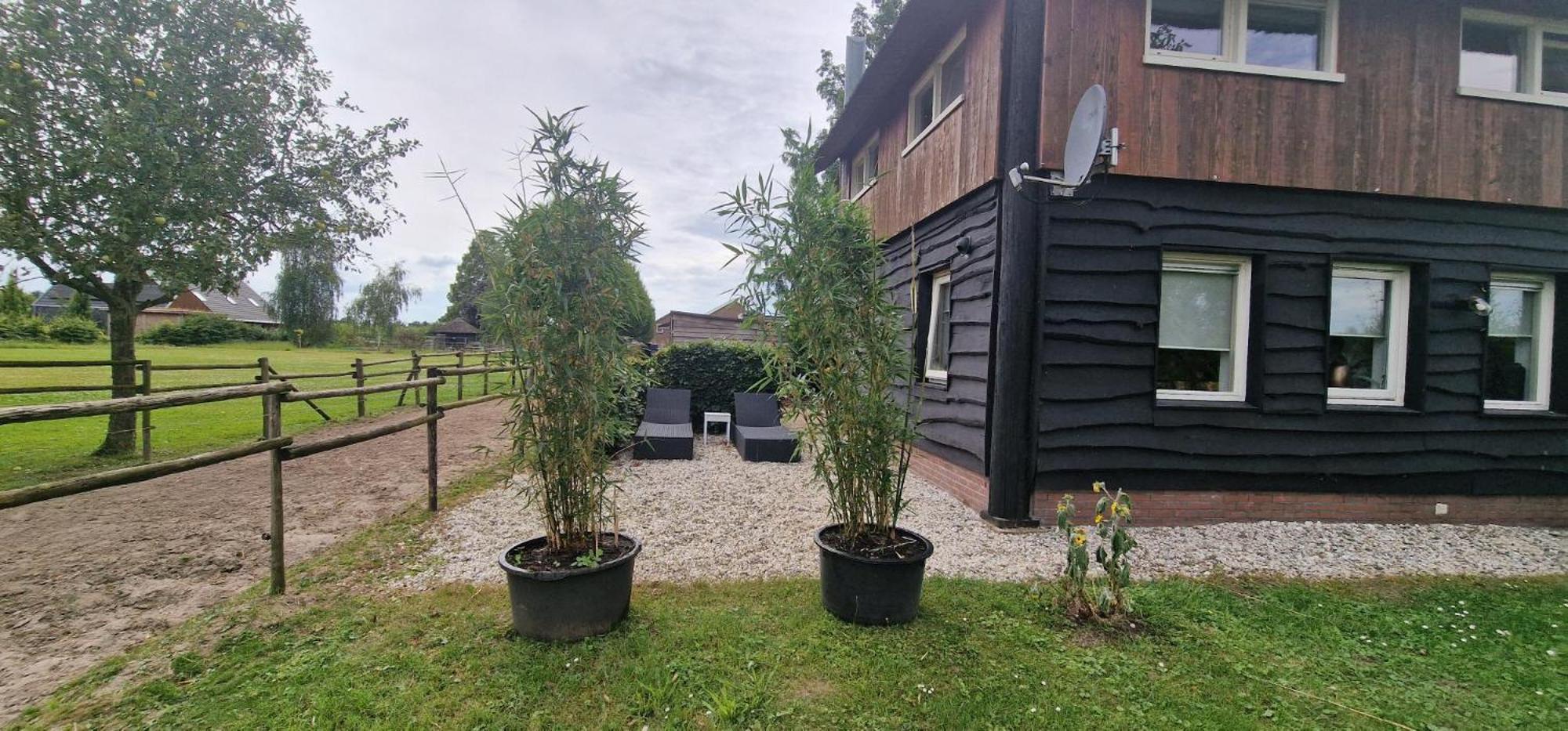 엘스트 De Hooiberg B&B 외부 사진
